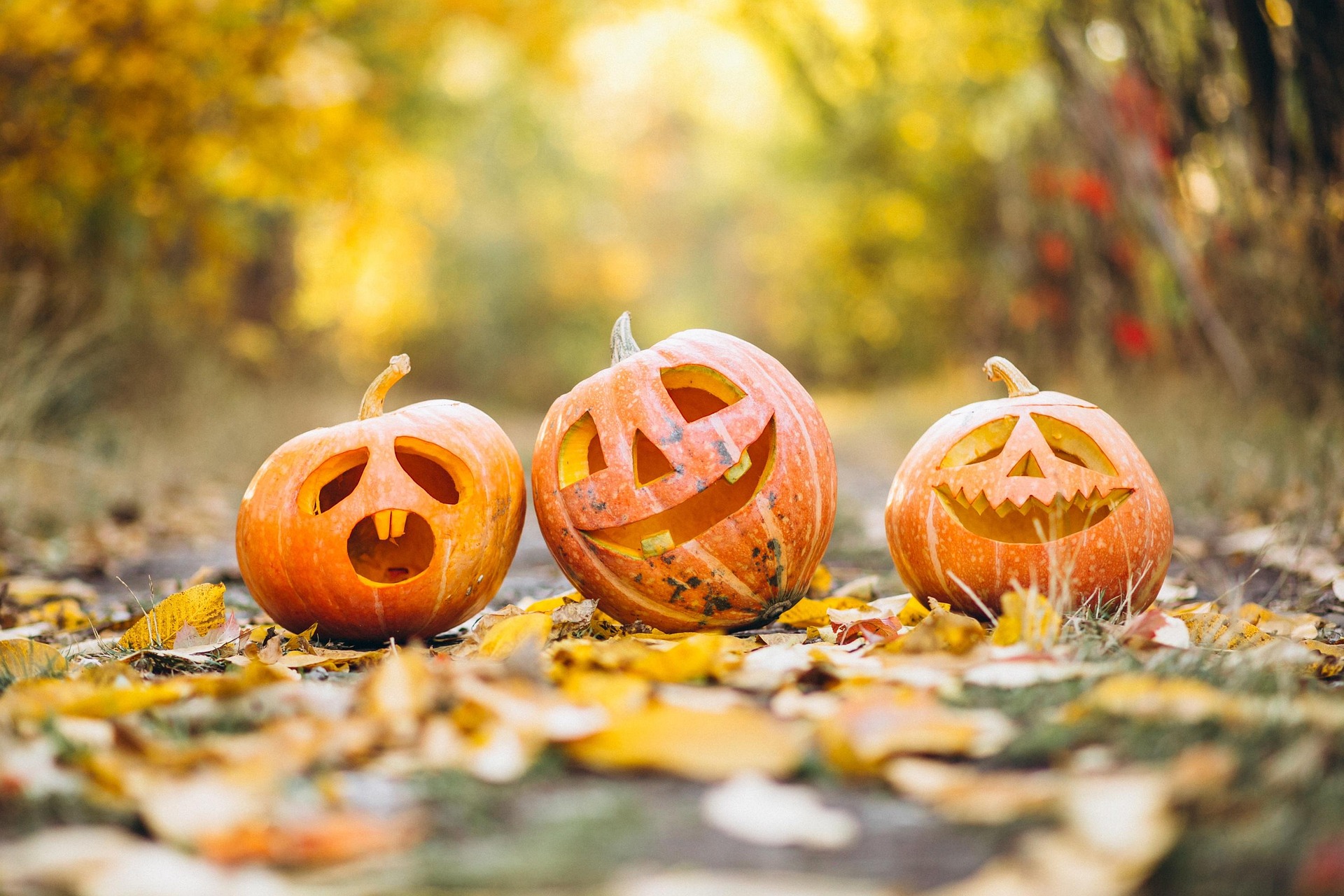 Halloween kommer til Bagsværd